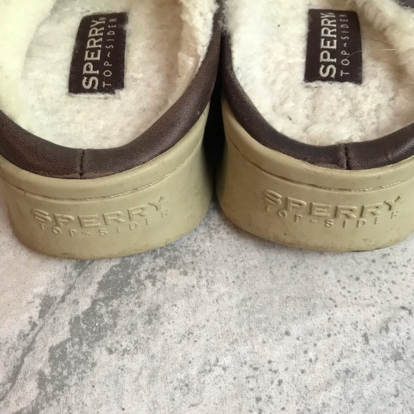 sperry shearling